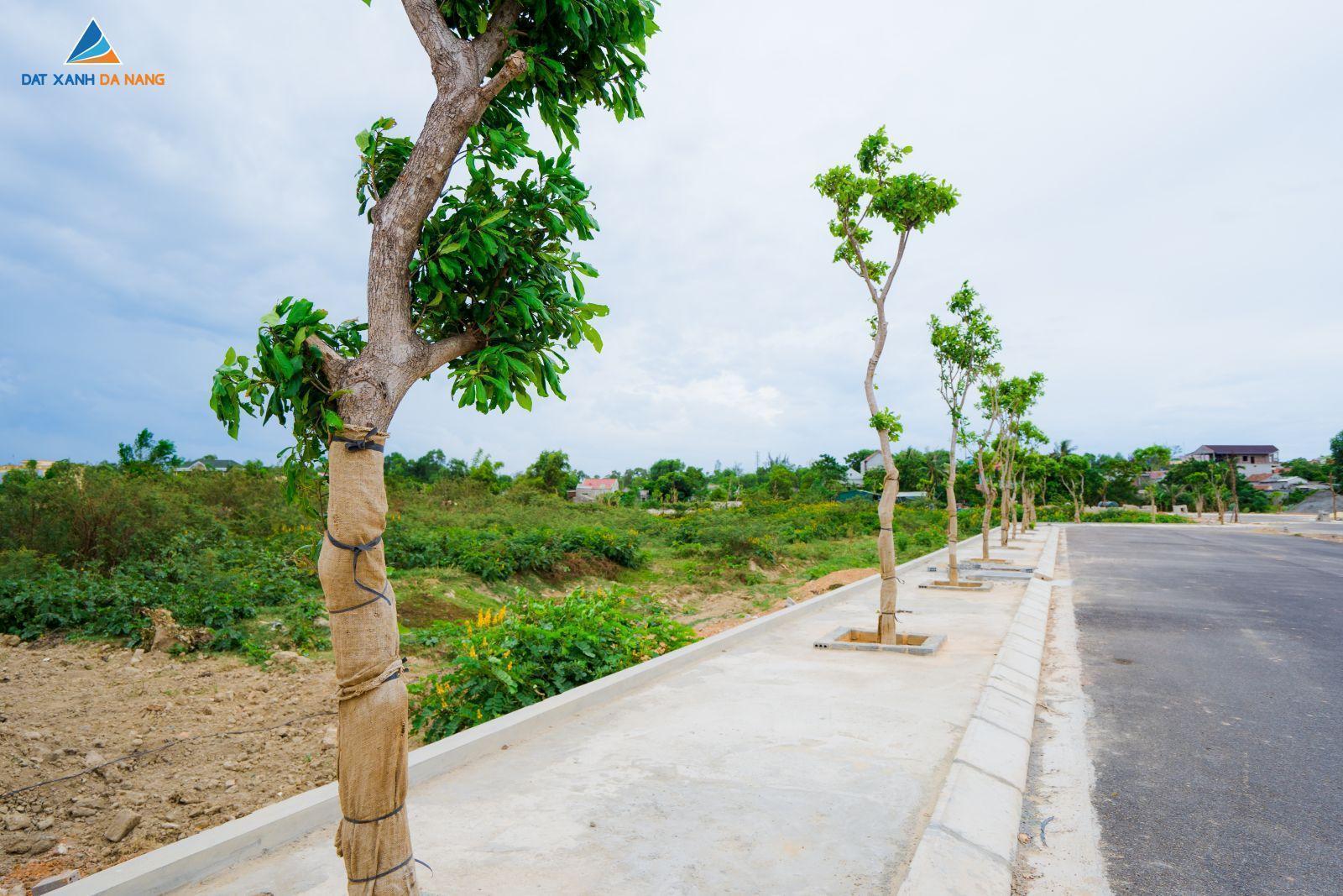 [GÓC CẬP NHẬT] DỰ ÁN KHU ĐÔ THỊ VENUS GARDENIA THÁNG 08/2019 - Viet Nam Smart City